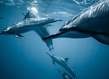 开云体育首页——尽享极致体育体验的第一站